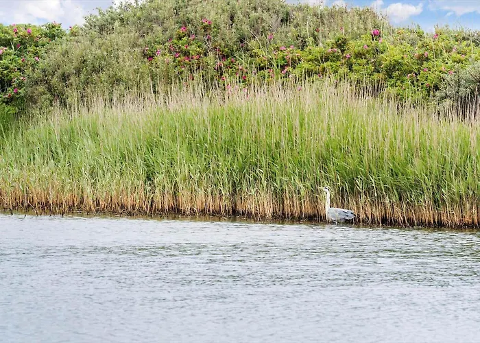 70022-ulfborg-fuglevaenget-44 * Ulfborg